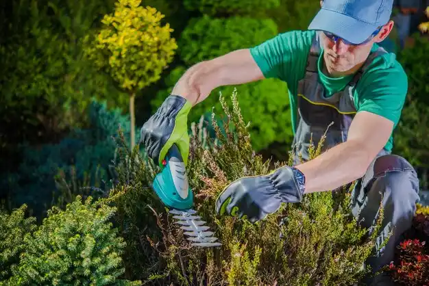 landscaping services South Corning